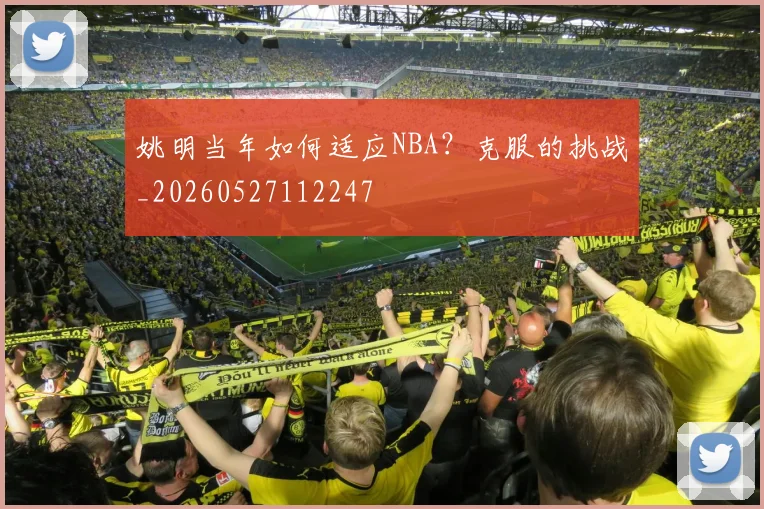 姚明当年如何适应NBA？克服的挑战_20260527112247