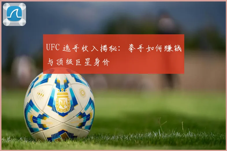 UFC 选手收入揭秘:拳手如何赚钱与顶级巨星身价